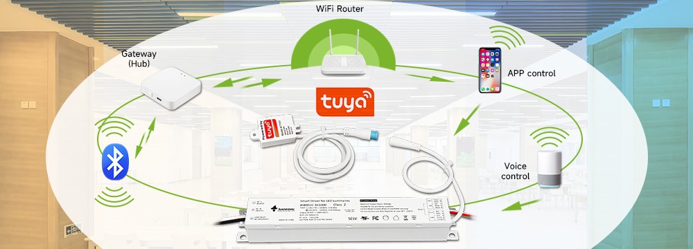 product-1000-360